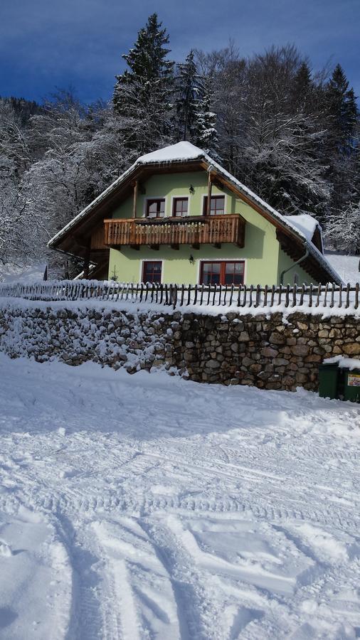 Vaznik Farm House Apartments Bled Kültér fotó